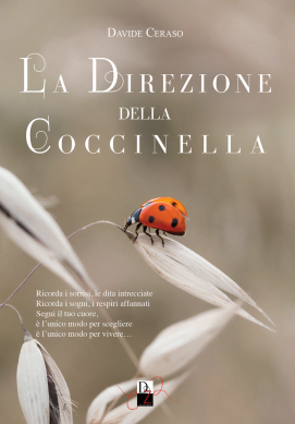 “La direzione della coccinella” – Davide Ceraso