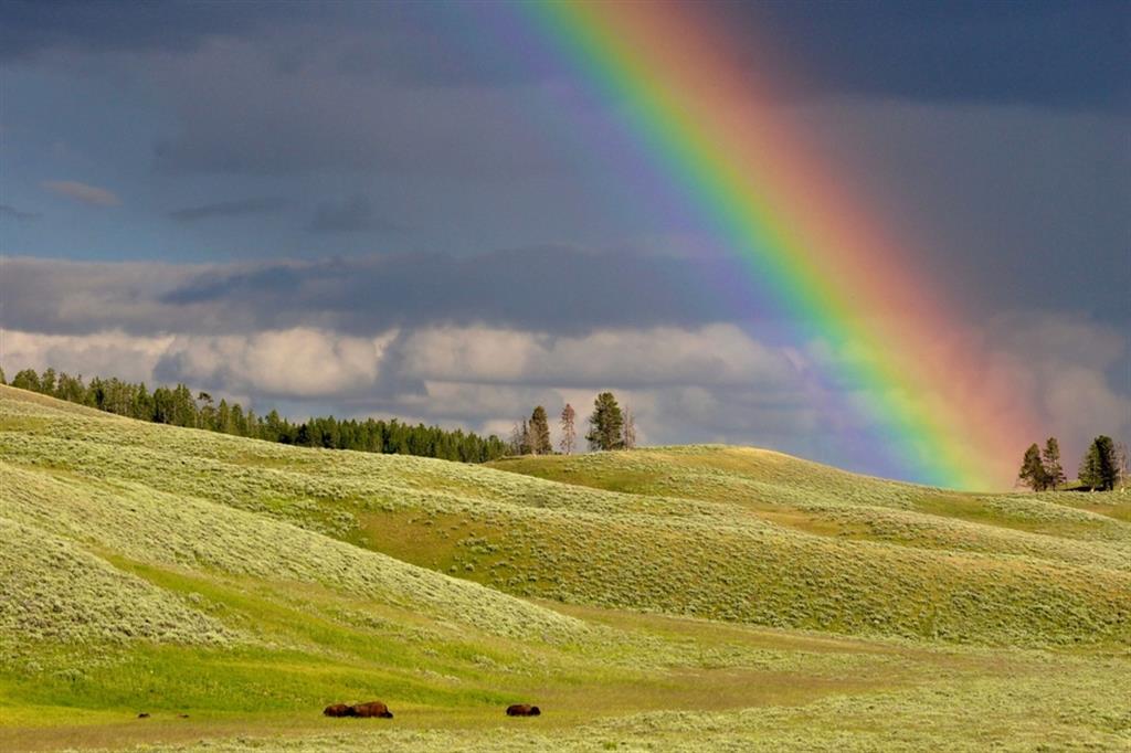 “Arcobaleno”