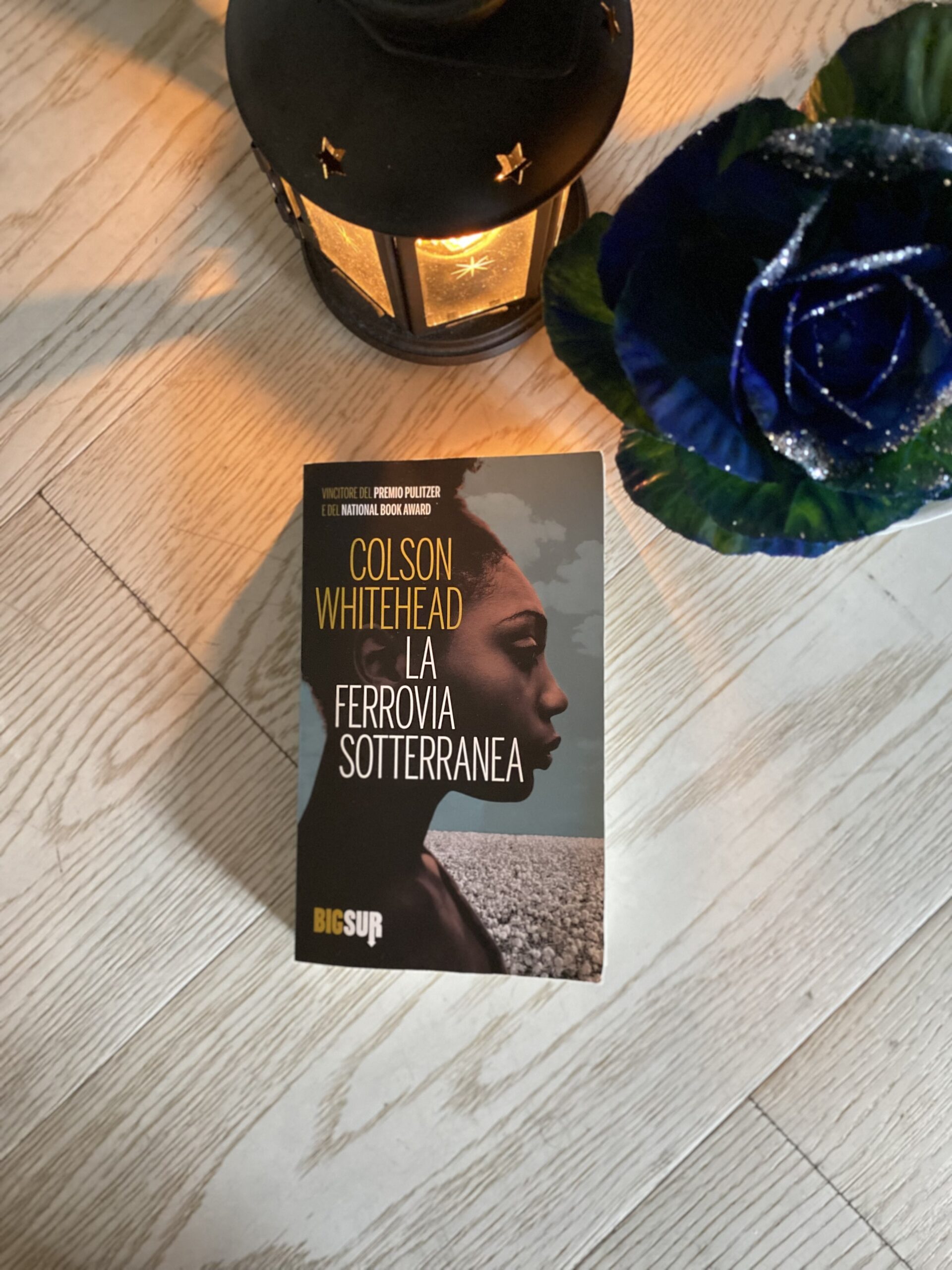 “La ferrovia sotterranea” – Colson Whitehead