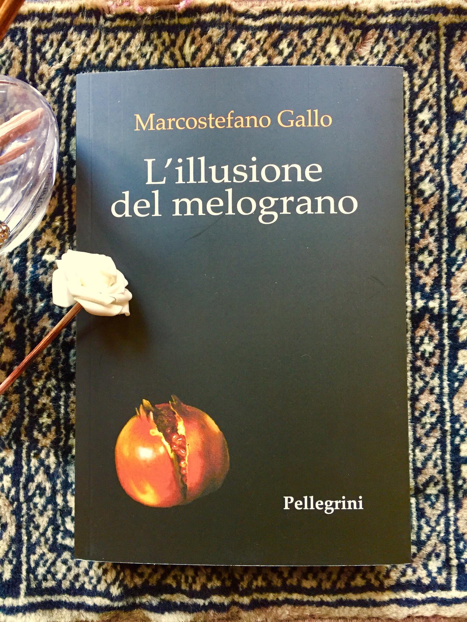 “L’illusione del melograno” – Marcostefano Gallo