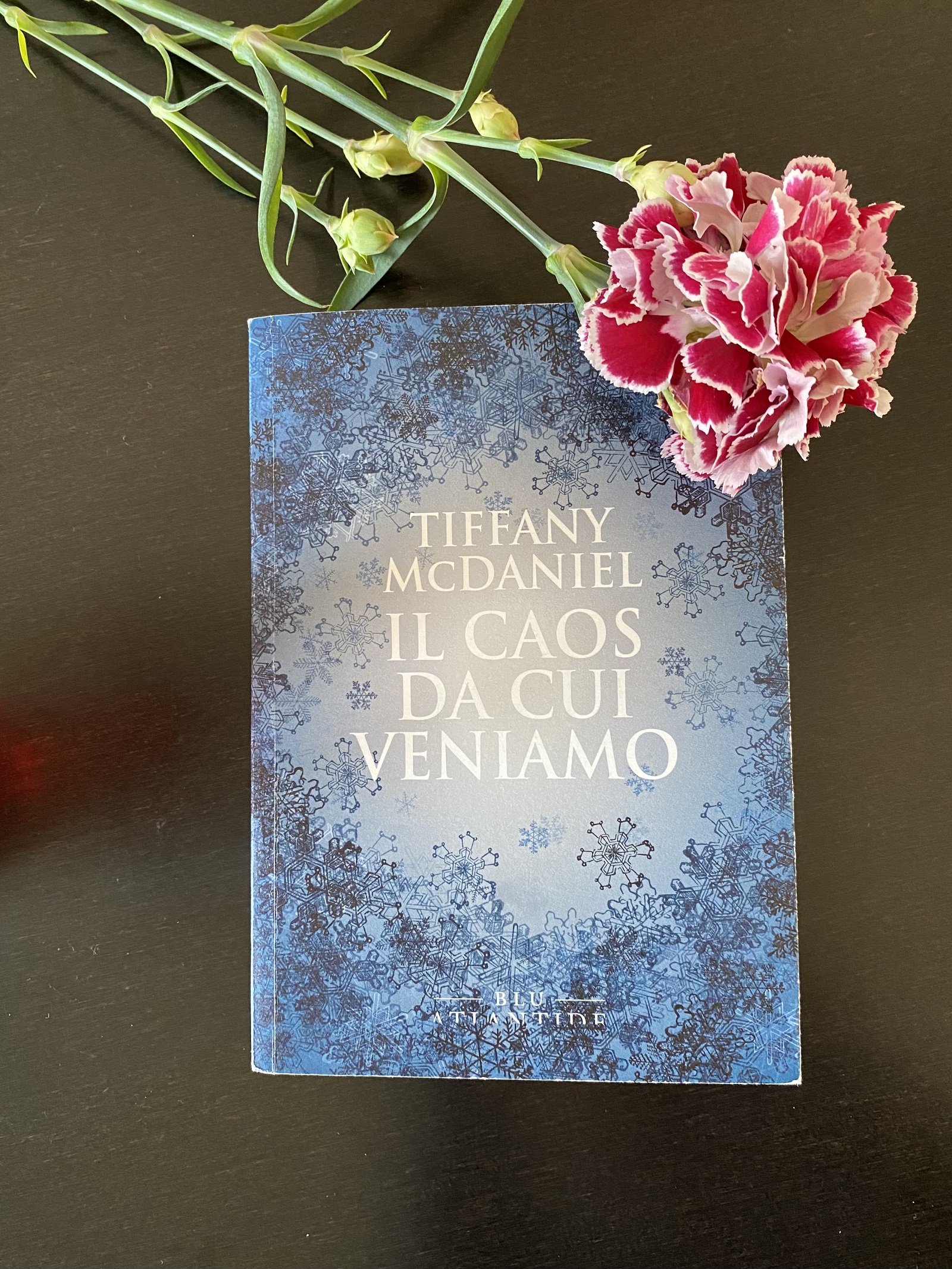 “Il caos da cui veniamo” – Tiffany McDaniel