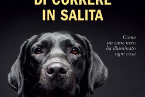 “La gioia di correre in salita”- Mark T. James