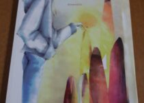 “L’uomo sole” – Saverio Giannini