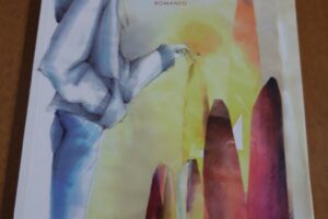 “L’uomo sole” – Saverio Giannini