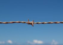 Libri sulla Shoah, libri sull’Olocausto, libri sulla persecuzione degli ebrei