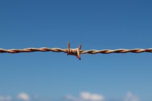 Libri sulla Shoah, libri sull’Olocausto, libri sulla persecuzione degli ebrei