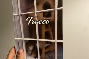 “Tracce” – Magalì Rapini