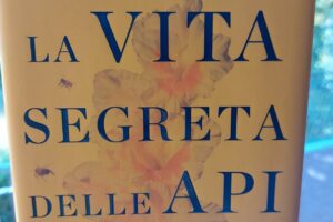 “La vita segreta delle api” – Marco Valsesia