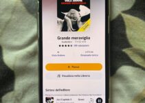 “Grande meraviglia” – Viola Ardone