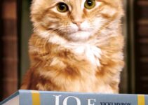 “Io e Dewey” – Vicki Myron