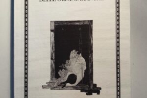“La casa delle orfane bianche” – Fiammetta Palpati