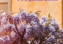 “In clinica psichiatrica c’è il glicine fiorito” – Barbara Giangavrè