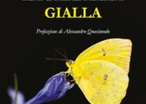 “La farfalla gialla” – Antonietta Natalizio