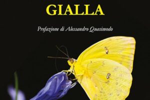 “La farfalla gialla” – Antonietta Natalizio