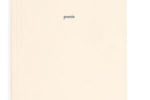 “Dove andare” – Antonio Chiades
