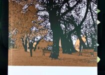 “Polaroid” – Giulio Riga