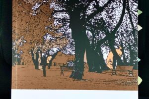 “Polaroid” – Giulio Riga