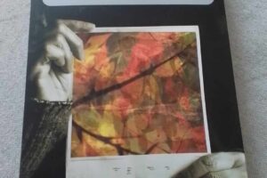 “Il colore delle foglie in autunno” – Sergio Sinesi