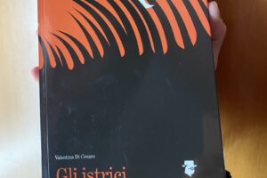 “Gli istrici” – Valentina Di Cesare