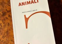 “Animali” – Salvatore Giordano “Animali” – Salvatore Giordano