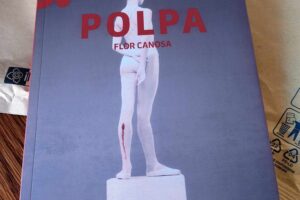 “Polpa” – Flor Canosa