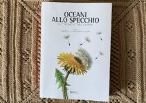 “Oceani allo specchio” – Valentina Di Cesare e Michela Valmori “Oceani allo specchio” – Valentina Di Cesare e Michela Valmori