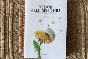 “Oceani allo specchio” – Valentina Di Cesare e Michela Valmori