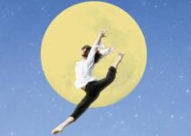 “Il talento della rondine” – Matteo Bussola “Il talento della rondine” – Matteo Bussola