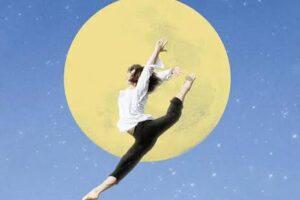 “Il talento della rondine” – Matteo Bussola