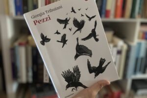 “Pezzi” – Giorgia Tribuiani