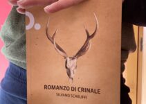 “Romanzo di crinale” – Silvano Scaruffi